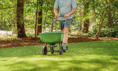 Lawn Care – Keeping Your Lawn Healthy, Green and Beautiful